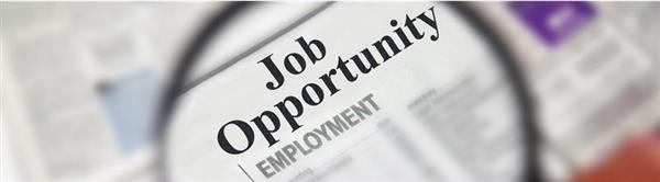 Job Opportunity Image